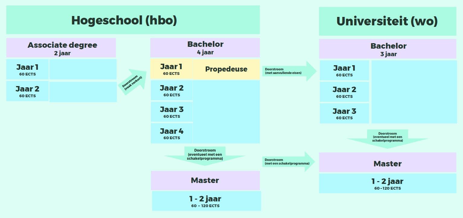 Masteropleidingen: Wat is belangrijk?